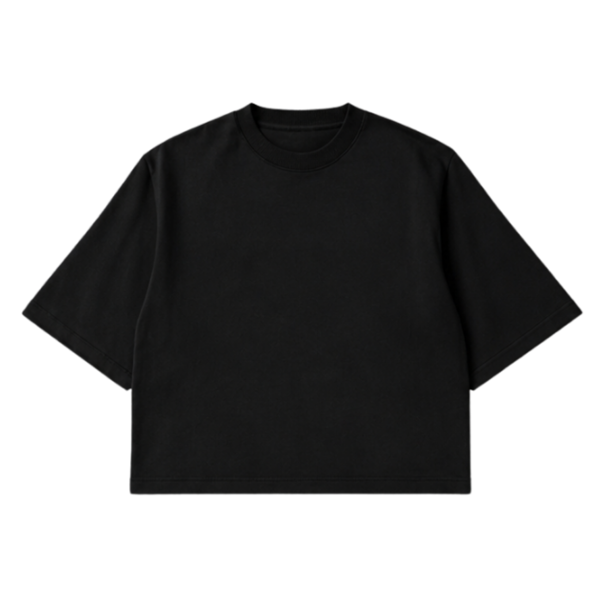 SYLVA boxy Blank T-shirt