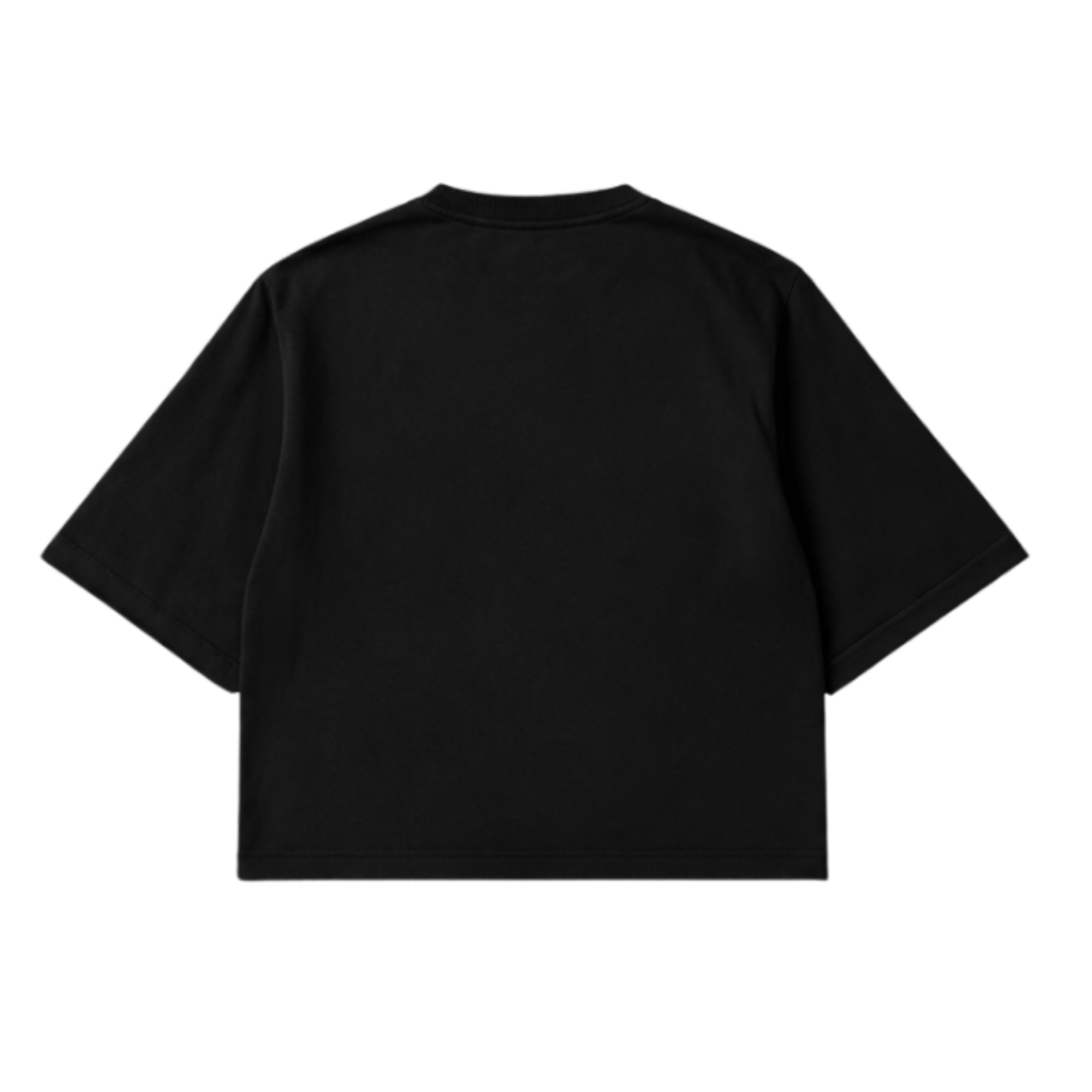 SYLVA boxy Blank T-shirt